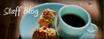 スタッフブログ